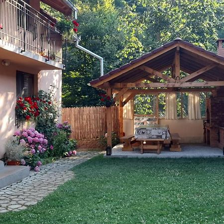 הוילה Cîrţişoara Casa Iulia & Matei מראה חיצוני תמונה