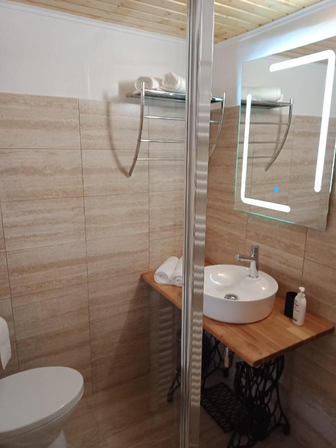 הוילה Cîrţişoara Casa Iulia & Matei מראה חיצוני תמונה