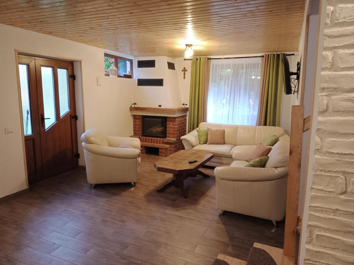 הוילה Cîrţişoara Casa Iulia & Matei מראה חיצוני תמונה