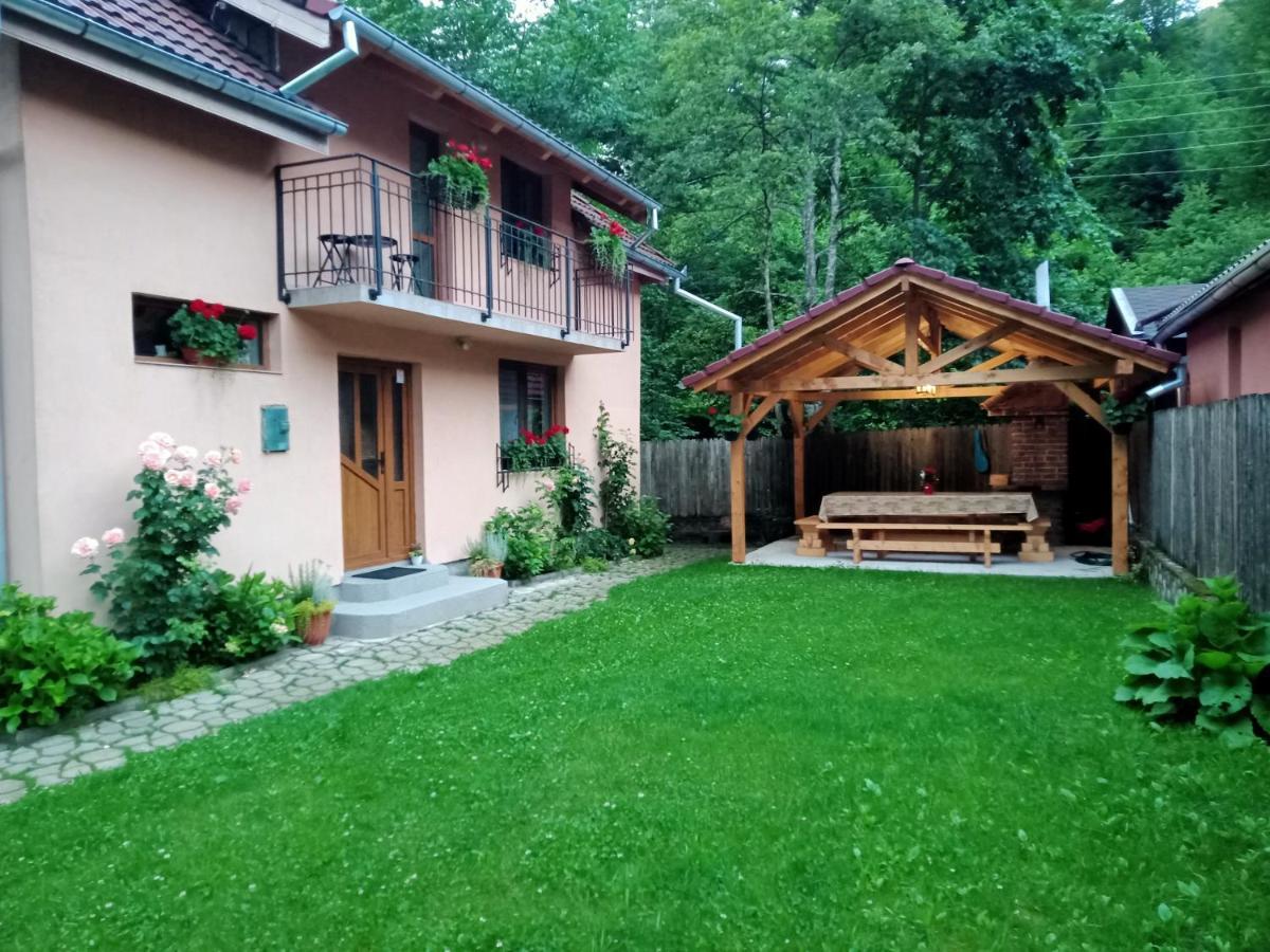 הוילה Cîrţişoara Casa Iulia & Matei מראה חיצוני תמונה