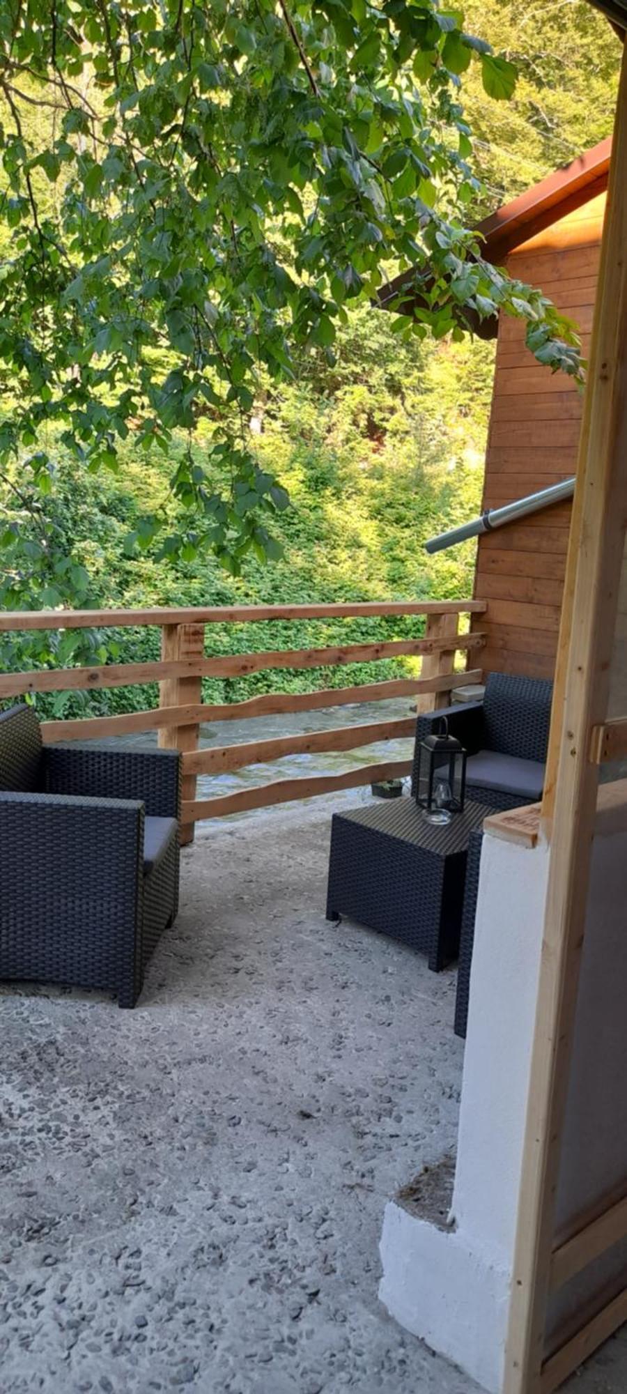 הוילה Cîrţişoara Casa Iulia & Matei מראה חיצוני תמונה